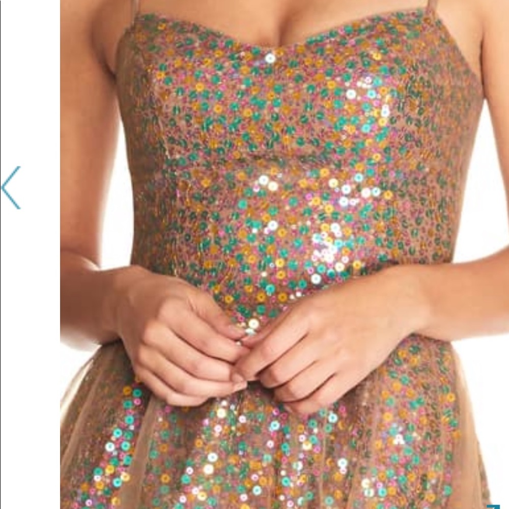 Size L dress the Population dress